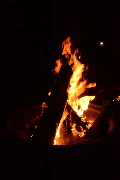 DSC_3552 (Large).JPG